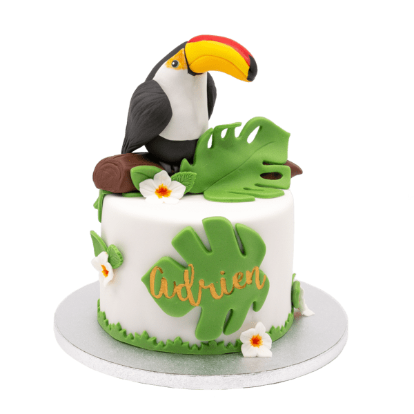 cake design toucan