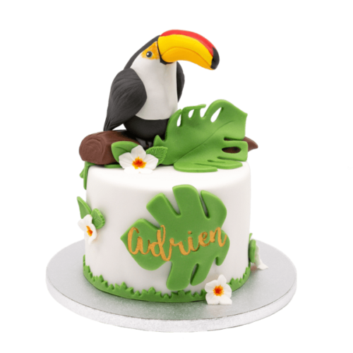cake design toucan